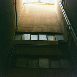 激情视频在线免费观看8852
