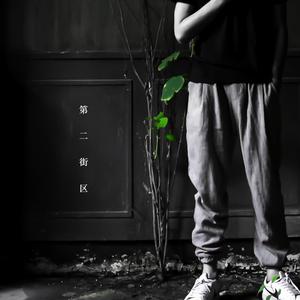 激情视频在线免费观看8852
